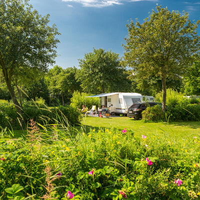 Bild vergrößern: Ein Wohnwagen steht auf einem Campingplatz mit vielen Bschen, grnem Rasen und mehreren Bumen.