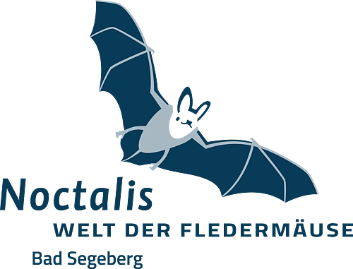 Logo mit stilisierter Fledermaus über dem Schriftzug 'Noctalis WELT DER FLEDERMÄUSE Bad Segeberg'