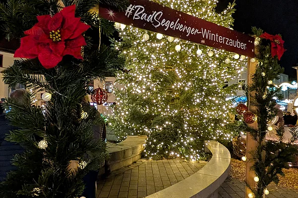 Weihnachtlich geschmückter Platz mit beleuchtetem Weihnachtsbaum und Holzrahmen mit dem Schriftzug '#BadSegebergerWinterzauber'