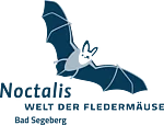 Logo mit stilisierter Fledermaus über dem Schriftzug 'Noctalis WELT DER FLEDERMÄUSE Bad Segeberg'