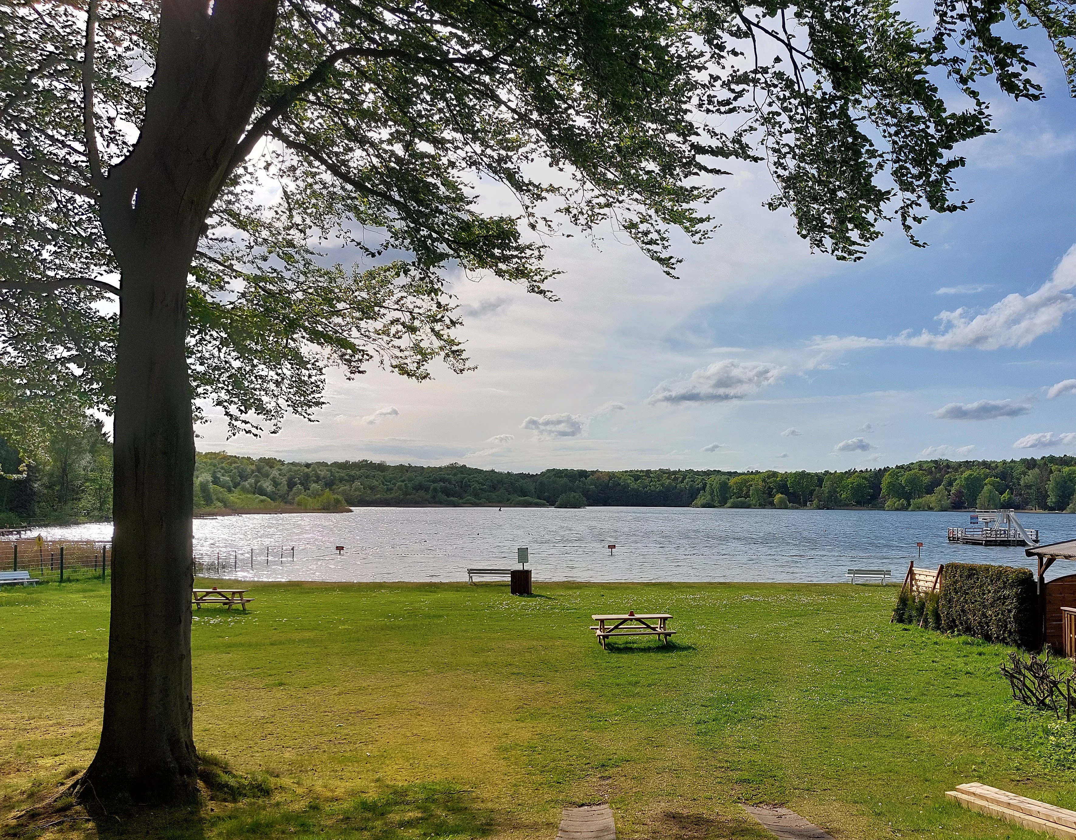 Große Wiese mit Picknicktischen vor einem See mit Steg und bewaldetem Ufer unter blauem Himmel