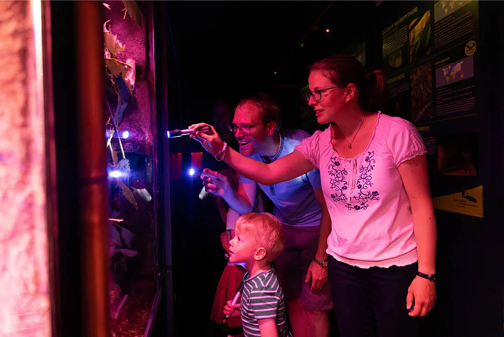Drei Personen mit Taschenlampen betrachten eine beleuchtete Ausstellung in einem dunklen Raum