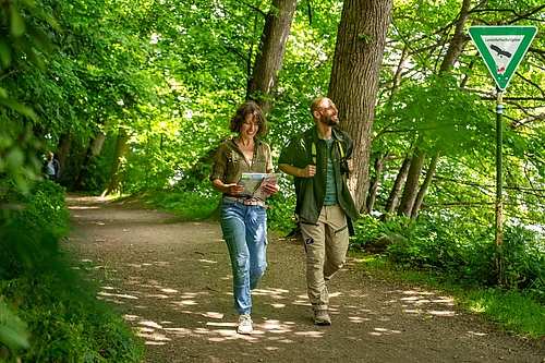 Zwei Personen gehen auf einem von Bäumen gesäumten Waldweg, eine hält eine Karte in der Hand