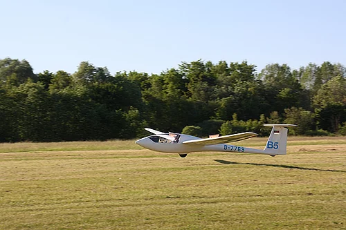 Segelflugzeug mit der Kennung D-7769 und B5 startet oder landet auf einer Grasfläche vor einem Baumstreifen