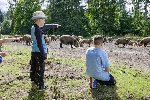 ErlebnisWald Trappenkamp Familie beim Wildschweingatter