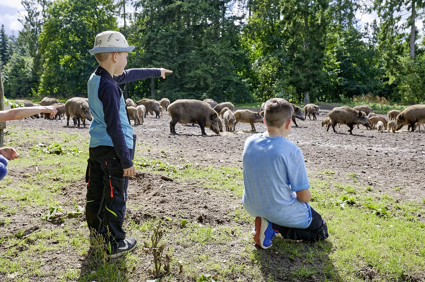 ErlebnisWald Trappenkamp Familie beim Wildschweingatter