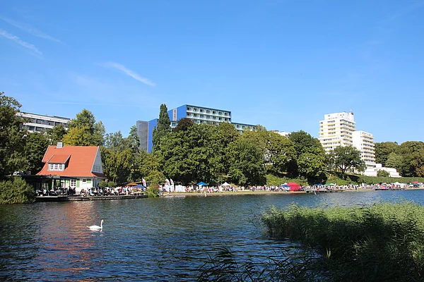 Uferbereich des Sees mit Menschenansammlung, einem weißen Schwan im Wasser, einem roten Haus links und mehrstöckigen Gebäuden im Hintergrund unter blauem Himmel