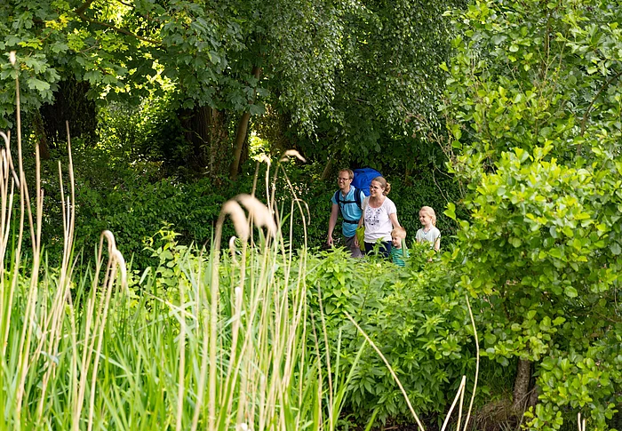 Drei Personen wandern auf einem schmalen Pfad durch dichtes grünes Gebüsch und Bäume