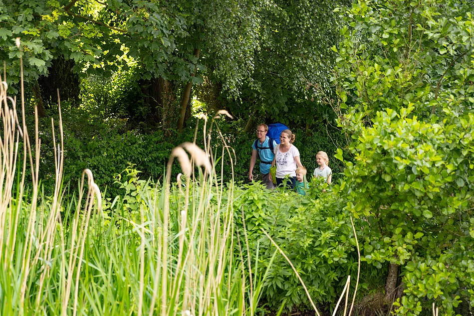 Drei Personen wandern auf einem schmalen Pfad durch dichtes grünes Gebüsch und Bäume