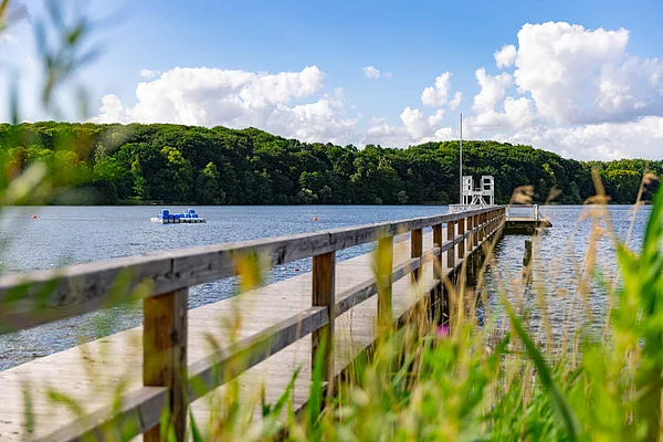Steg mit Geländer über den Großen Segeberger See mit Sprungturm am Ende und grün bewaldetem Ufer im Hintergrund