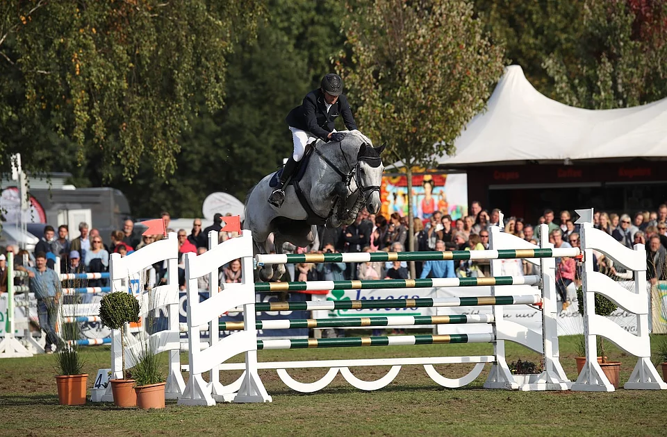 Reiter in schwarzer Jacke und weißer Reithose springt mit grauem Pferd über Hindernis bei Springturnier vor Zuschauern in Bad Segeberg