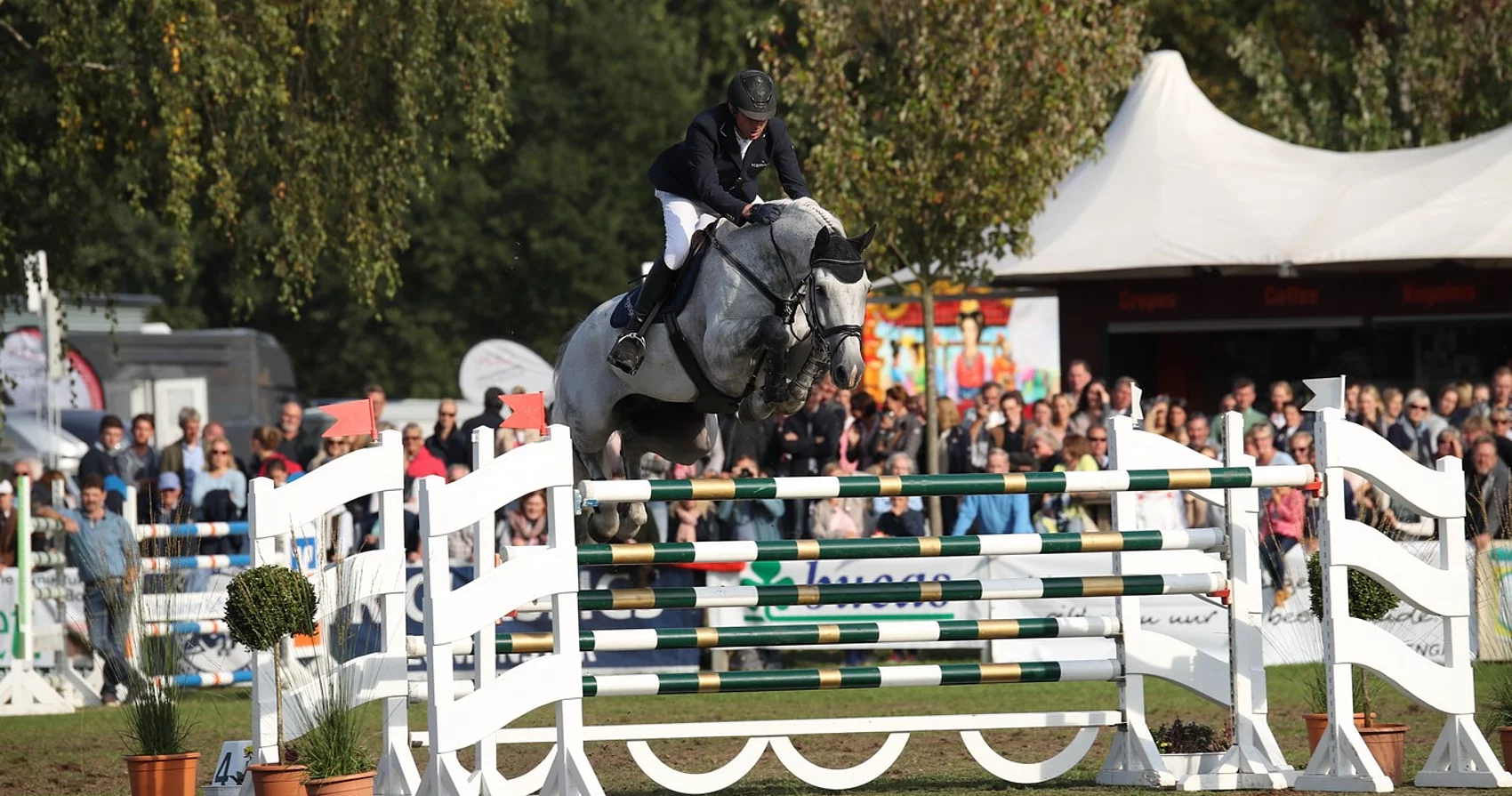Reiter in schwarzer Jacke und weißer Reithose springt mit grauem Pferd über Hindernis bei Springturnier vor Zuschauern in Bad Segeberg