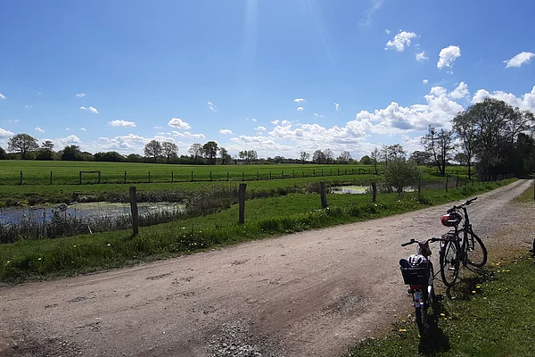Zwei Fahrräder stehen an einem unbefestigten Weg neben einer Wiese mit einem Teich und Bäumen unter blauem Himmel mit wenigen Wolken