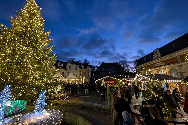 Weihnachtsmarkt bei Abenddämmerung mit großem, beleuchtetem Weihnachtsbaum und Menschen vor festlich geschmückten Buden