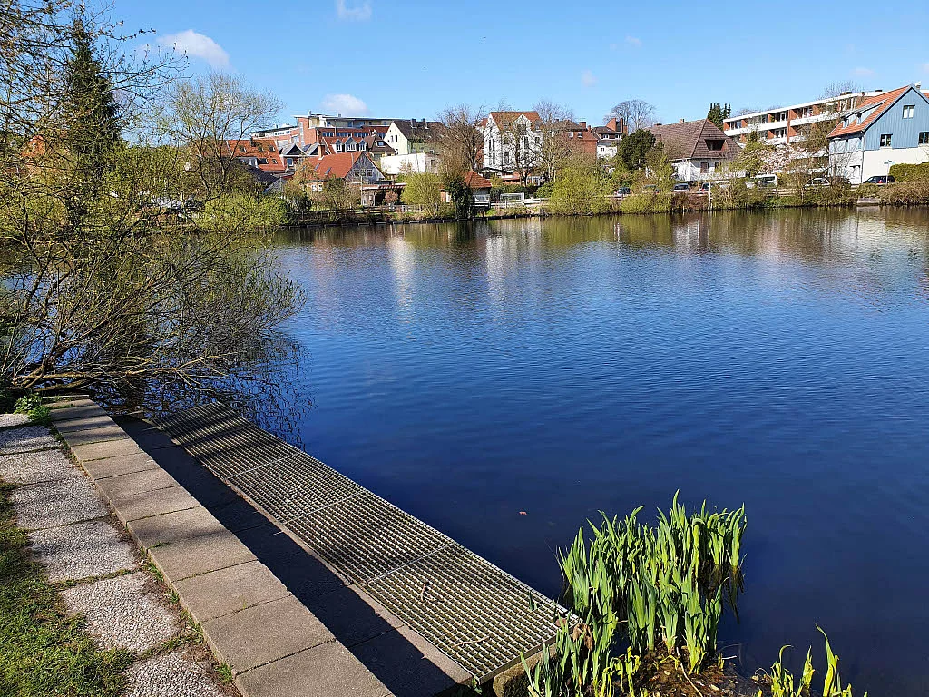 Uferbereich mit Steg und Pflanzen am Kleinen Segeberger See vor Häusern und Bäumen unter blauem Himmel