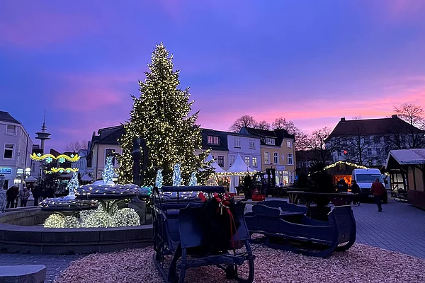 Weihnachtlich geschmückter Marktplatz in Bad Segeberg mit beleuchtetem Weihnachtsbaum, Brunnen und zwei historischen Pferdeschlitten vor Abendhimmel mit lila Wolken