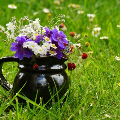 Bild vergrößern: Ein dunkler Krug mit bunten Blumen steht auf einer grnen Wiese.