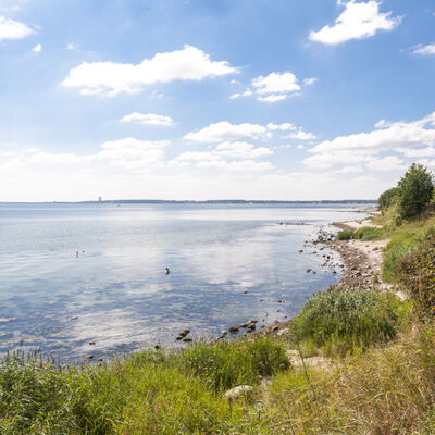 Bild vergrößern: Steilkste mit Naturstrand in Sierksdorf