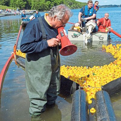 Bild vergrößern: Viele gelbe Gummienten auf dem Segeberger See