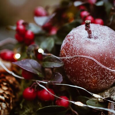 Bild vergrößern: Weihnachtsgesteck mit einem Apfel, Beeren und einer Lichterkette
