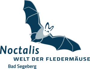 Logo Noctalis