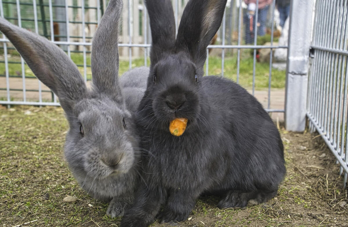 Wahlstedt / TouristInfo Bad Segeberg