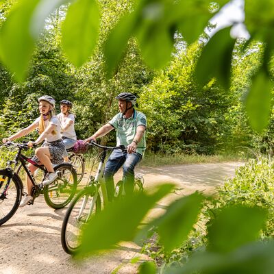 Bild vergrößern: Drei Personen fahren Fahrrad auf einem Waldweg
