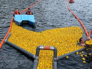 Gelbe Gummienten auf dem See, dahinter fährt ein Schlauchboot