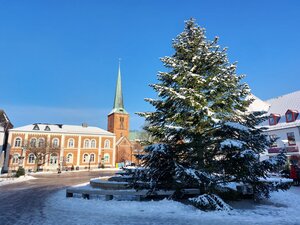 Bild vergrößern: Weihnachtsbaum auf dem Bad Segeberger Marktplatz