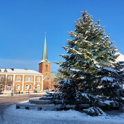 Weihnachtsbaum auf dem Bad Segeberger Marktplatz