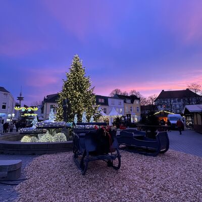 Bild vergr&ouml;&szlig;ern: Weihnachtsmarkt mit beleuchtetem Weihnachtsbaum, festlich geschm&uuml;ckten St&auml;nden und zwei historischen Pferdeschlitten auf Holzsp&auml;nen bei D&auml;mmerung in Bad Segeberg.