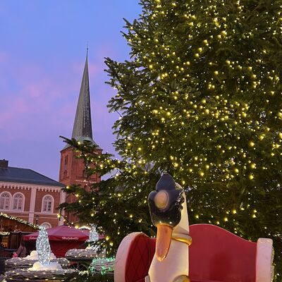 Bild vergr&ouml;&szlig;ern: Weihnachtlich geschm&uuml;ckter gro&szlig;er Tannenbaum mit Lichterketten neben einer wei&szlig;en Schwan-Skulptur mit rotem Sitz vor dem Hintergrund eines Kirchturms und Geb&auml;uden beim Weihnachtsmarkt Bad Segeberger Winterzauber.