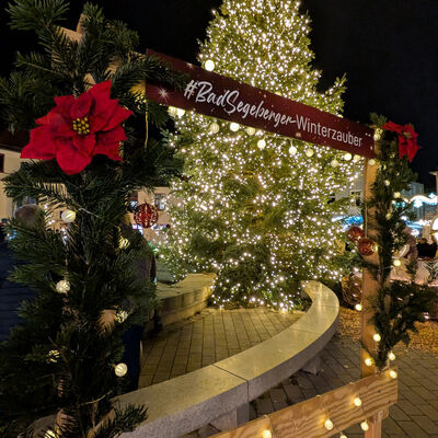 Bild vergr&ouml;&szlig;ern: Weihnachtsbaum mit wei&szlig;en Lichtern auf einem Platz, davor ein Holzrahmen mit Tannenzweigen, Lichterkette und einem roten Weihnachtsstern sowie dem Schriftzug '#BadSegebergerWinterzauber'.