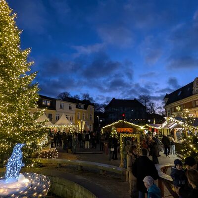 Bild vergr&ouml;&szlig;ern: Weihnachtsmarkt mit beleuchtetem gro&szlig;en Weihnachtsbaum, mehreren St&auml;nden und Menschen bei Abendd&auml;mmerung in Bad Segeberg.