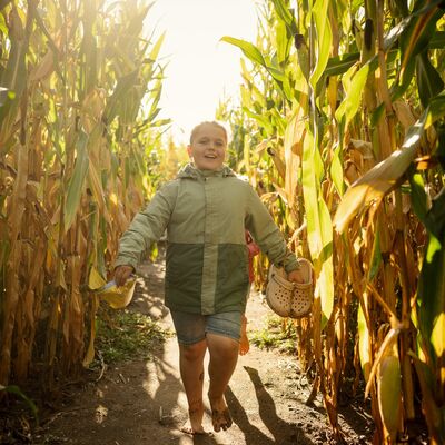 Bild vergr&ouml;&szlig;ern: Barfu�land Junge Maislabyrinth